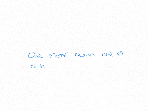 3-the-term-motor-unit-refers-to-all-of-the-motor-neurons-that-innervate-one-skeletal-muscle-all-of-the-activated-muscle-fibers-within-one-skeletal-muscle-one-motor-neuron-and-all-of-the-skeletal-muscl