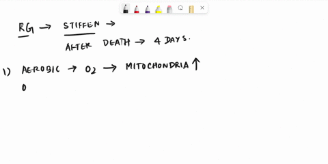 rigor-mortis-rigor-mortis-occurs-when-a-body-dies-a-few-hours-post-death-the-muscles-will-contract-somewhat-and-the-body-will-feel-stiff-get-a-sense-of-how-this-feels-have-a-friend-tense-up-58876