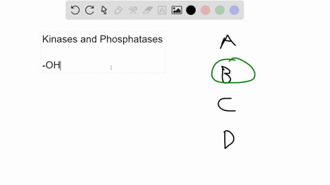 kinases-and-phosphatases-turn-proteins-on-and-off-through-the-following-mechanism-a-making-or-breaking-disulfide-bonds-resulting-in-changes-in-protein-conformation-or-interaction-with-other-20223