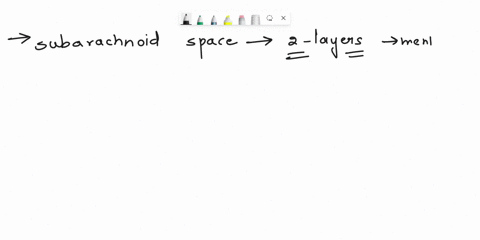 the-subarachnoid-space-lies-between-what-two-layers-of-meninges-selectone-oaarachnoid-and-epidura-obdura-and-epidura-ocarachnoid-and-pia-odarachnoid-and-dura-14534