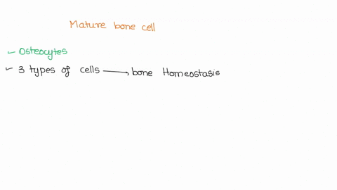 what-is-the-name-of-the-mature-bone-cell-that-maintains-the-bone-matrix-in-bone-tissue-79433