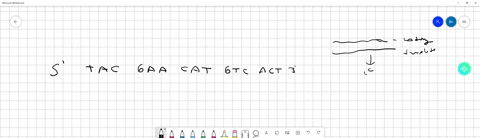 tne-coding-master-strand-of-a-dna-molecule-has-the-following-nucleotide-sequence-refer-to-figure-1-tac-gaa-cat-gtc-act-1-write-the-mrna-sequence-for-this-gene-after-transcriptiol-then-using-86224