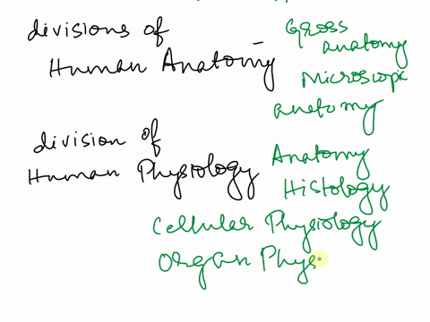 differentiate-human-anatomy-from-human-physiology-2-describe-the-main-divisions-of-human-anatomy-3-describe-the-main-divisions-of-human-physiology-4-explain-the-term-homeostasis-and-the-proc-85245