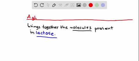 what-type-of-bond-joins-the-molecules-in-the-disaccharide-lactose-what-molecule-is-joined-with-glucose-to-form-lactose-a-a-glycosidic-bond-between-glucose-and-lactose-b-a-glycosidic-bond-between-glu-3