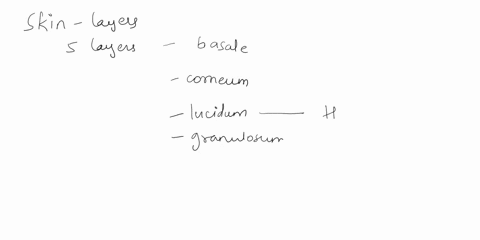 ion14-which-of-the-following-is-an-epidermal-layer-that-is-found-in-thick-skin-but-not-in-thin-skin-answered-out-of100-stratum-lucidum-question-stratum-basale-stratumcorneum-ostratum-granulo-89213