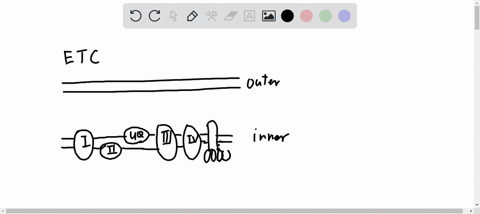 as-you-learned-in-the-previous-question-rotenone-blocks-the-etc-pathway-at-the-transfer-of-electrons-to-ubiquinone-which-causes-electrons-t0-accumulate-at-complex-and-nadh-t0-build-up_-now-l-96734