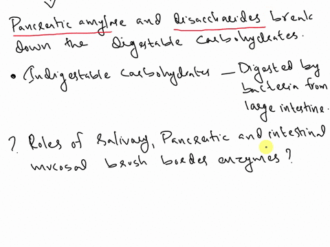 21-year-old-student-at-a-prestigious-medical-school-during-the-past-6-months-she-experienced-several-bouts-of-severe-abdominal-bloating-and-cramps-followed-by-diarrhea-at-first-she-thought-t-84054