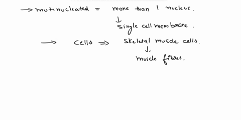 please-answer-all-questions-if-you-cant-answer-it-all-please-leave-for-another-expert-thank-you-51which-one-of-these-features-s-not-characteristic-of-cardiac-muscle-abranching-fibers-bstriat-69612