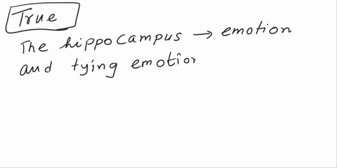 true-or-false-the-hippocampus-is-involved-in-our-experience-of-emotion-and-tyingemotional-meaning-to-our-memories-50955