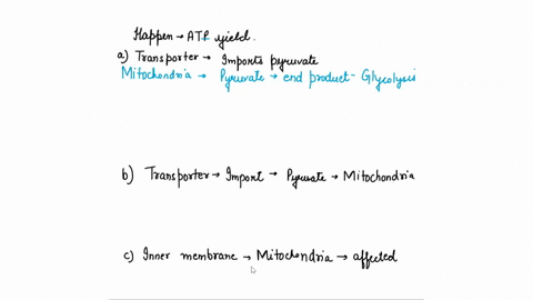 7-what-would-happen-to-the-atp-yield-of-cellular-respiration-if-a-the-transporter-that-imports-pyruvate-into-the-mitochondria-stopped-working-explain-b-the-transporter-that-imports-pyruvate-88514