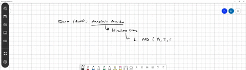 both-dna-and-rna-are-composed-of-nucleotides-what-molecules-combine-to-form-a-nucleotide-25526