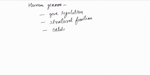 approximately-what-percentage-of-the-human-genome-actually-codes-for-proteins-990-25-975-10-450-63062