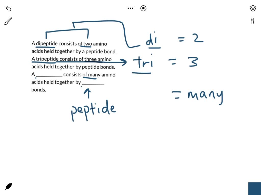 SOLVED A dipeptide consists of two amino acids held together by a