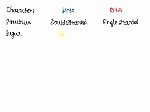 compare-and-contrast-dna-and-rna-in-your-response-make-sure-you-clearly-explain-the-differences-by-saying-for-example-dna-is-_____________-while-rna-is-______________-you-should-provide-at-l-63072