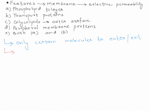 what-features-of-a-membrane-are-major-contributors-to-its-selective-permeability-a-phospholipid-bila-78431