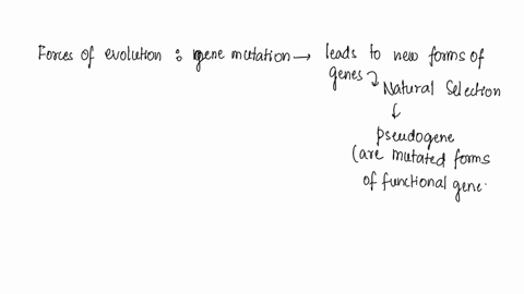 is-it-possible-to-find-the-same-gene-in-two-different-kinds-of-organisms-but-not-find-the-protein-that-is-produced-from-that-gene-why-might-this-happen-14127