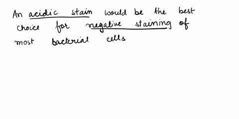 which-type-of-stain-would-be-the-best-choice-for-negative-staining-of-most-bacterial-cells-a-basic-stain-or-an-acidic-stain-explain-your-answer-70774