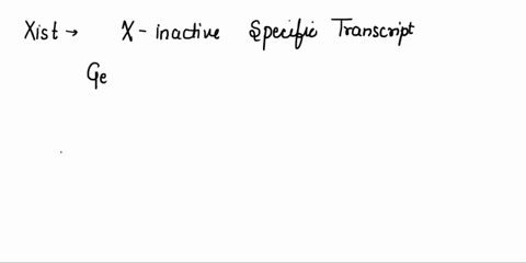 what-gene-is-most-responsible-for-x-inactivation-29-multiple-choice-8-014501-xist-xce-xic-tsix-49083