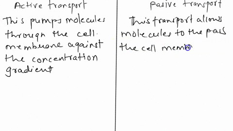 distinguish-between-passive-and-active-transport-28562