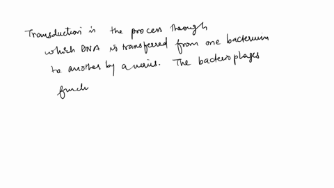 the-transfer-of-genetic-information-between-bacteria-via-a-bacteriophage-as-a-vector-is-called-a-all-of-the-above-b-transduction-c-transformation-d-conjugation-e-none-of-the-above-69494