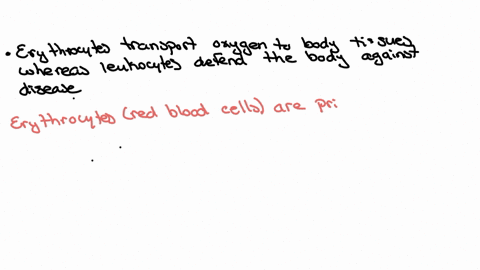 which-of-the-following-accurately-compares-the-functions-of-erythrocytes-and-leukocytes-erythrocytes-make-up-1-of-circulating-blood-whereas-leukocytes-make-up-40-45-of-blood-volume-erythrocytes-increa
