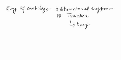 question-26-1-point-which-structure-is-surrounded-by-rings-of-cartilage-alveoli-pharynx-trachea-esophagus-question-27-1-point-peristalsis-is-a-wave-of-muscular-contractions-in-the-esophagus-68581
