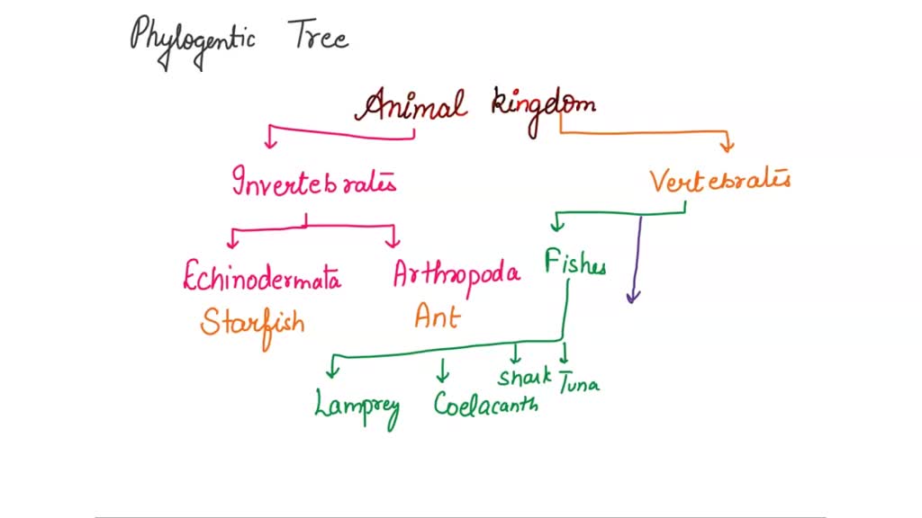 SOLVED: 2 (6 pts). Make a phylogenetic tree for the following creatures ...