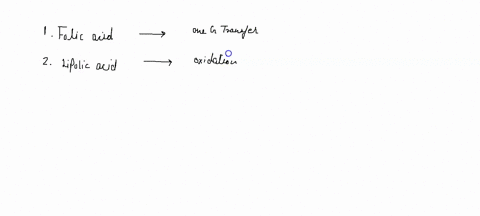 which-of-the-following-vitamins-is-involved-in-the-catalysis-of-an-acyl-transfer-reaction-folic-acid-lipoic-acid-vitamin-b1-biotin-vitamin-b12-41772