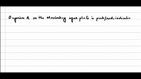 question-17-5-points-what-are-the-macconkey-mac-results-of-organism-a-in-the-photo-gram-negative-lactose-negative-gram-positive-lactose-positive-gram-negative-lactose-positive-gram-positive-lactose-ne