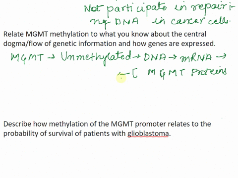 the-promoter-region-of-dna-is-where-the-enzyme-rna-polymerase-attaches-to-start-transcription-of-a-gene-into-rna-what-effects-do-you-hypothesize-that-methylation-can-have-on-the-expression-o-92404