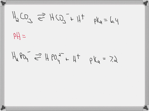 consider-the-following-buffer-systems-h2co3-hco3-hh2co3-hco3-h-pka-64-h2po4-hpo24-hh2po4-hpo42-h-pka-72-describe-the-relative-amounts-of-the-acid-and-conjugate-base-for-each-system-at-a-ph-o-86967