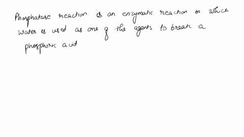 looking-at-the-protocol-the-phosphatase-reacrion-actually-starts-a5-soon-as-you-add-glass-reacrion-test-tube-the-purified-phosphatase-enzyme-t0-the-the-phenolphthalein-di-phosphare-solurion-46053