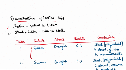 iodine-test-for-thc-presence-of-starch-starch-is-long-e-polymer-consisting-entirely-of-glucose-1-monosaccharide-starch-is-the-major-nutreng-storige-polysaccharide-in-plants-and-thcir-sceds-s-45674