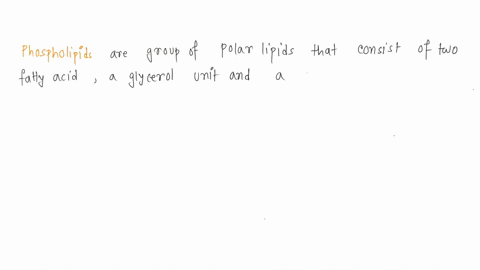 13a-phospholipid-is-a-a-nonpolar-lipid-molecule-that-is-made-polar-by-the-addition-of-a-phosphate-b-nonpolar-lipid-molecule-that-is-made-amphipathic-by-the-addition-of-a-phosphate-c-polar-li-95793