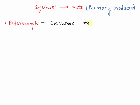 a-squirrel-in-a-forest-eats-nuts-from-a-tree-which-of-the-following-terms-could-be-used-to-describe-this-squirrel-a-population-a-heterotroph-a-keystone-species-a-consumer-a-population-a-detr-88137