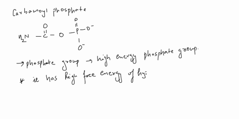 carbamoyl-phosphate-shown-below-is-an-intermediate-in-the-biosynthesis-0f-urea-based-the-discussion-of-high-energy-phosphates-would-you-expect-carbamoyl-phosphate-possess-high-free-energy-of-00983