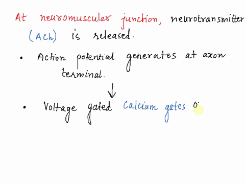 describe-the-events-that-occur-as-a-nerve-impulse-signals-to-a-muscle-cell-at-a-neuromuscular-junction-include-the-following-in-your-answer-neurotransmitter-ligand-gated-sodium-channels-acti-94364