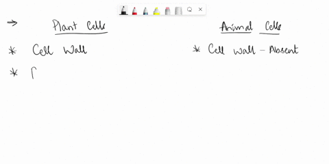 compare-and-contrast-the-general-characteristics-of-plant-and-animal-cells-63255