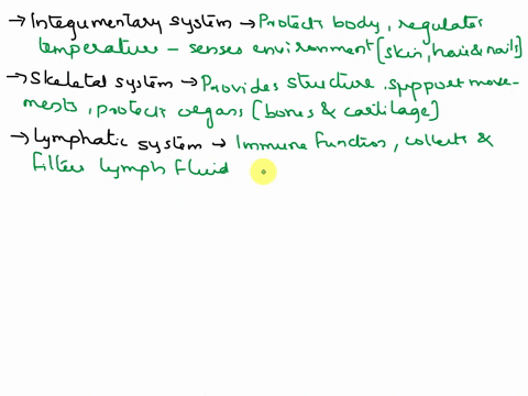 identify-the-characteristics-in-the-integumentary-system-skeletal-system-muscular-system-lymphatic-system-respiratory-system-digestive-system-nervous-system-endocrine-system-cardiovascular-s-50057