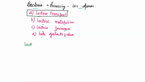 in-a-bacteria-that-possessing-the-lac-operon-which-of-the-following-occurs-when-glucose-is-low-and-lactose-is-abundant-a-lactose-transport-to-the-cell-is-improved-b-lactose-metabolism-is-inc-11015