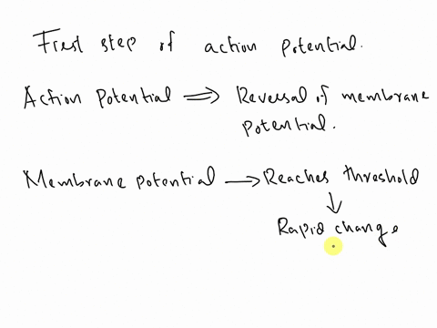 question-8-which-of-the-following-is-the-first-step-of-the-action-potential-0-return-to-resting-membrane-potential-hyperpolarization-0-threshold-is-reached-the-sodium-gates-snap-open-all-of-73742