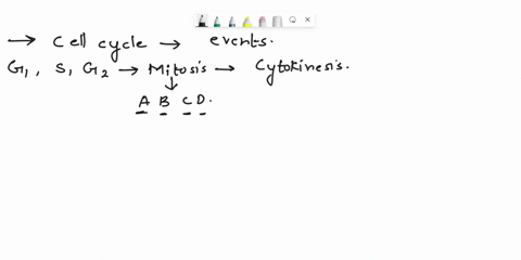 part-ithe-cell-cycle-the-cell-cyele-is-serics-uenis-that-mus-ocui-peeifie-ordcr-facilitate-cell-division-bacterial-cells-achacal-cellsand-cven-somc-curanoc-orgunelles-mitochondria-and-chlo-r-14654