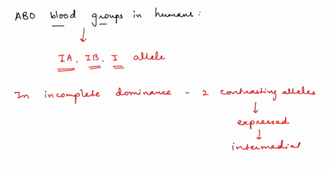 the-abo-blood-groups-in-humans-are-controlled-by-theia-ib-and-i-alleles-the-ia-allele-encodes-the-a-54088