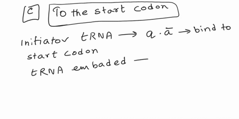 translation-is-started-when-the-initiator-trna-binds-a-to-the-promoter-b-to-the-rna-polymerase-c-to-the-start-codon-d-release-factor-83025