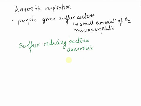 question-7-05-points-which-of-these-would-be-capable-of-anaerobic-respiration-purple-green-sulfur-bacteria-sulfate-reducing-bacteria-nitrogen-fixing-bacteria-iron-oxidizing-bacteria-question-17744