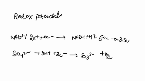 redox-half-reactions-nad-2h-2-e-6-nadh-so42-sulfate-2h-2-2-9so-h-o-no-nitrate-2h-2e-9no-ho-12-0z-2h-2-2-9-h2o-eo-__0315-v-eo-048-v-e-042-v-0815-v-17-we-make-most-of-our-atp-from-the-redox-re-91849