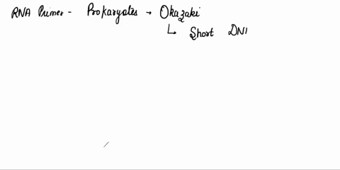 question-completion-status-okazaki-fragments-are-choose-all-that-apply-contain-protein-synthesized-during-rna-replication-are-produced-by-fragmentation-of-dna-with-use-of-dnase-activity-in-p-18264