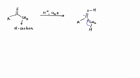the-alpha-carbon-in-the-enol-tautomer-of-a-carbonyl-compound-is-a-nucleophilic-b-electrophilic-c-amphiphilic-d-sp2-hybridized-as-the-ketone-tautomer-e-sp3-hybridized-as-the-enol-tautomer-66897