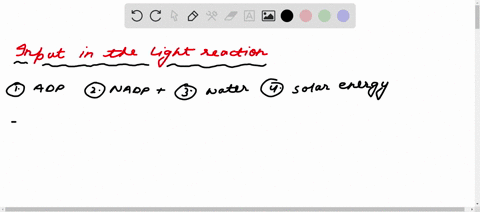 label the following diagram with the major inputs and outputs of the ...
