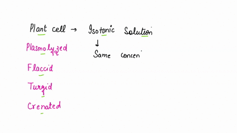 question-1-a-plant-cell-placed-in-an-isotonic-solution-can-be-described-as-plasmolyzed-flaccid-turgid-crenated-94234